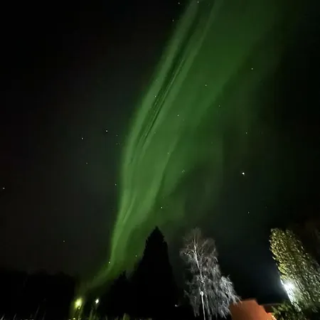 Arctic Magic & Activities