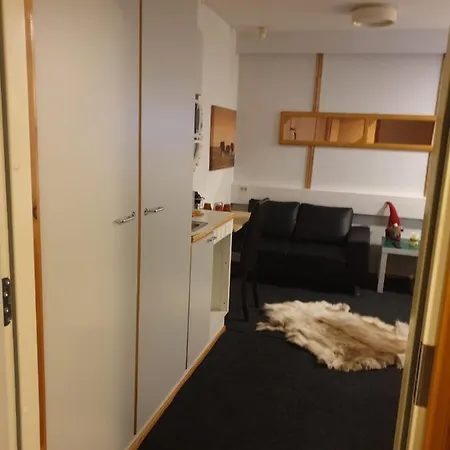 Arctic Magic & Activities *