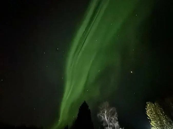 Arctic Magic & Activities